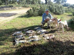 Cacería 2 Nov 14